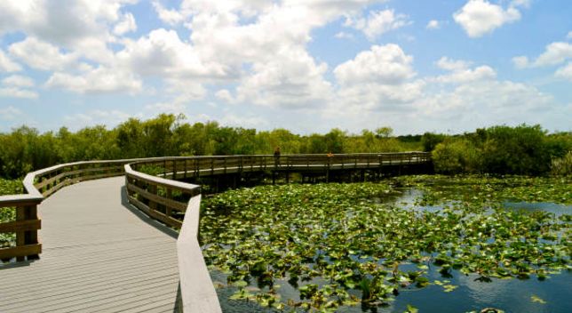 Everglades National Park - A Natural Wonder