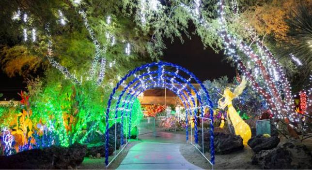 Experience the Ethel M Chocolate Factory Cactus Garden Lights