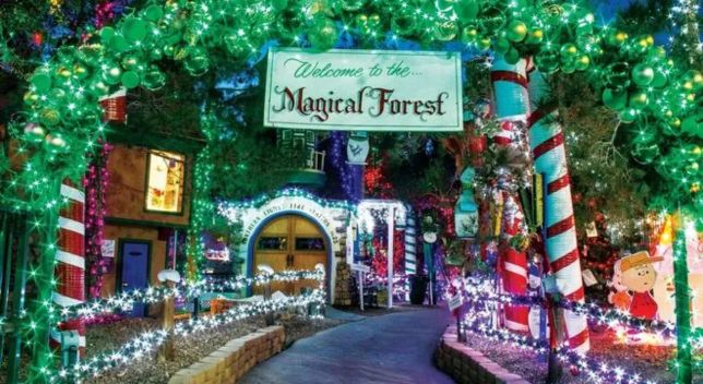 Marvel at the Magical Forest at Opportunity Village