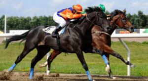 Enhance Your Race Day-VIP Limo Transfer Service for Pegasus World Cup 2024