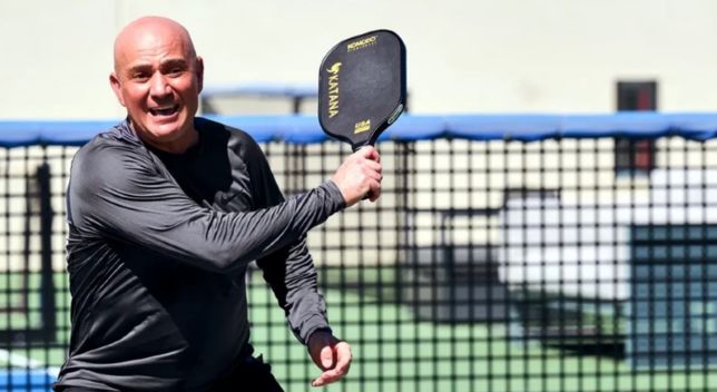 Pickleball Slam 2 2024 A Sport on the Rise with Tennis Icons