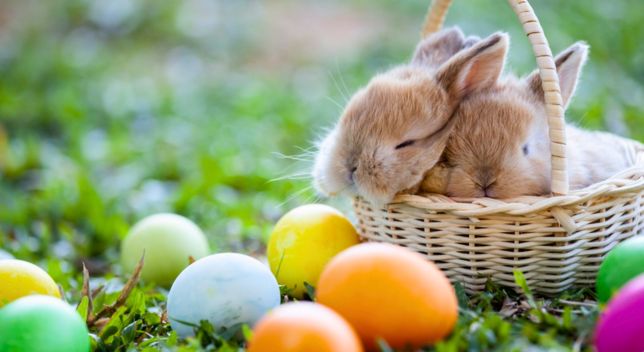 10 Easter Traditions Worldwide