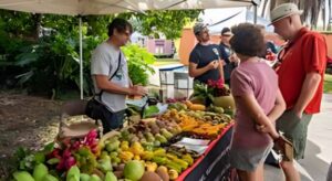 Experience Redland Summer Fruit Festival 2024 in Miami with Mundi Limos