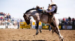 Ride in Style and Comfort Las Vegas NFR Luxury Limo Transfer